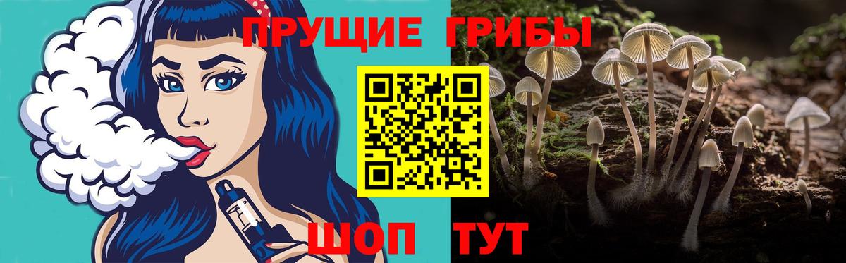 Псилоцибиновые грибы Psilocybine cubensis  наркошоп  Слободской  Галлюциногенные грибы Psilocybine cubensis  Вход с VPN 